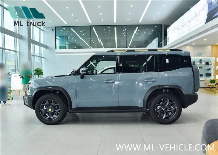 CHERY Jetour Traveler