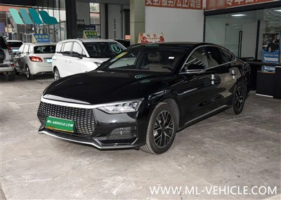 BYD Ε9