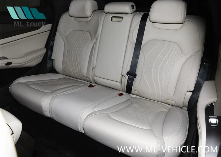 2024 BYD Denza N7 EV SUV