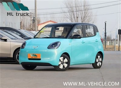 2025 WuLing Mini EV